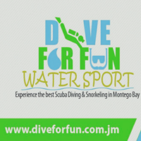 Dive For Fun Watersport